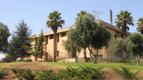 עפרה