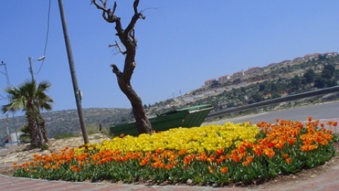 כניסה לישוב.jpg