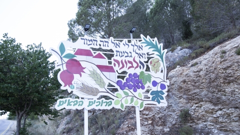 כניסה.jpg